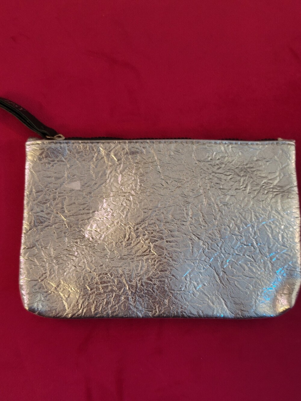 Brand New Ipsy Silver Cosmetic Bag